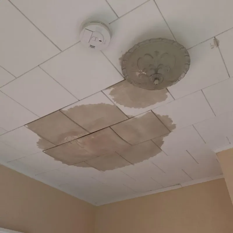 Ceiling Water Damage Repair in Fort Mill, SC